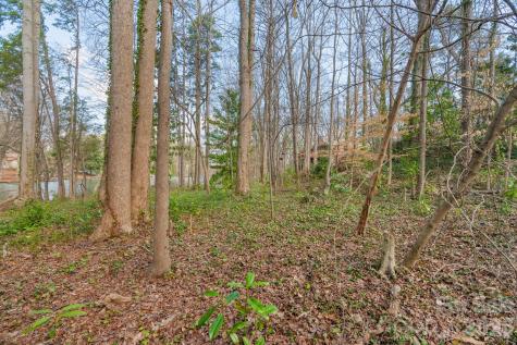 Tbd Oakwood Lane Charlotte NC 28215
