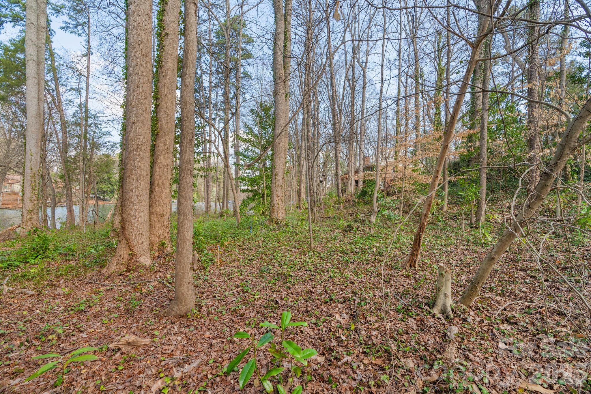 Tbd Oakwood Lane Charlotte NC 28215