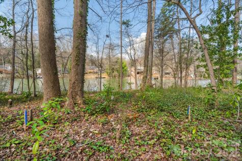 Tbd Oakwood Lane Charlotte NC 28215
