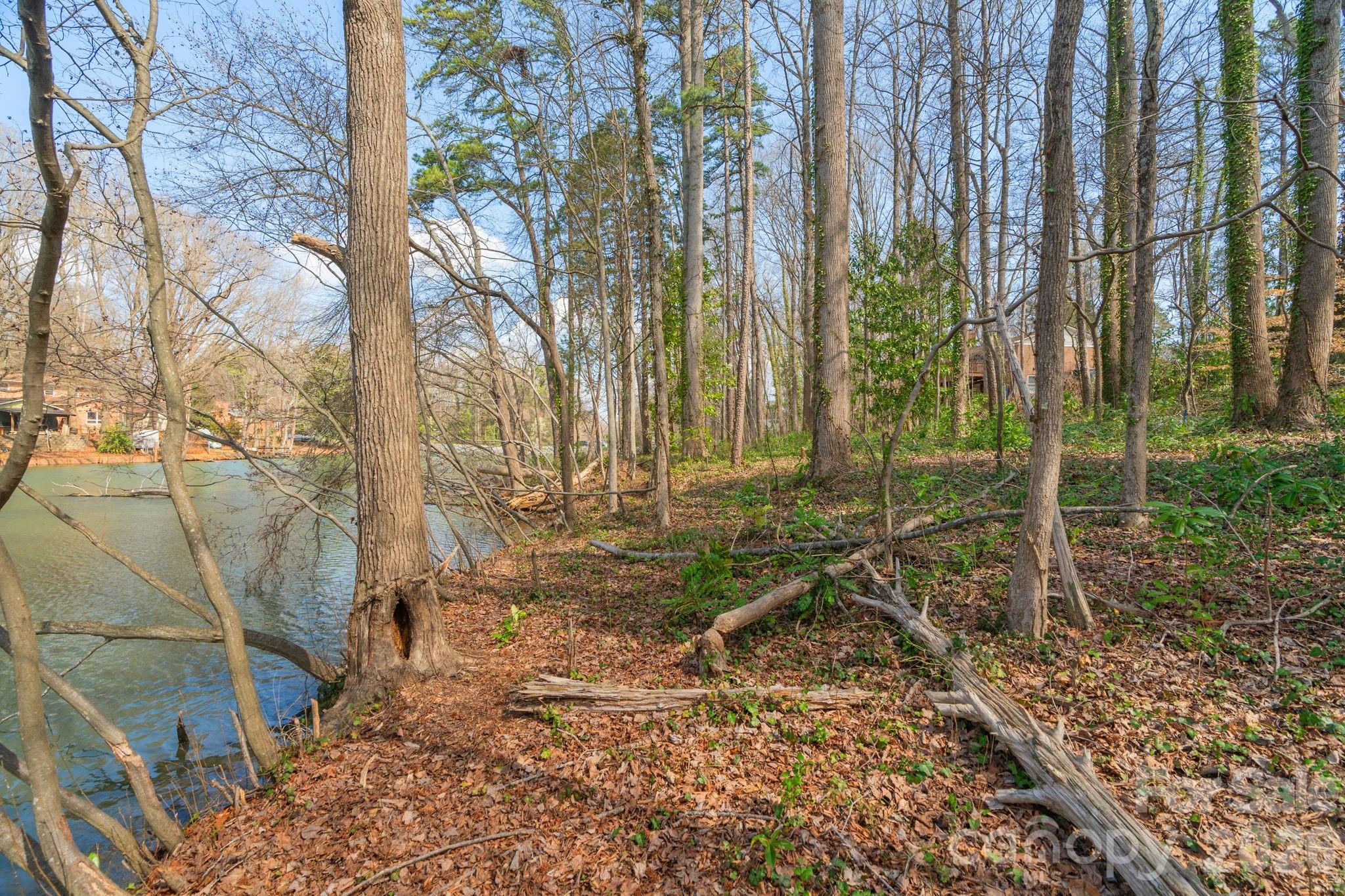 Tbd Oakwood Lane Charlotte NC 28215