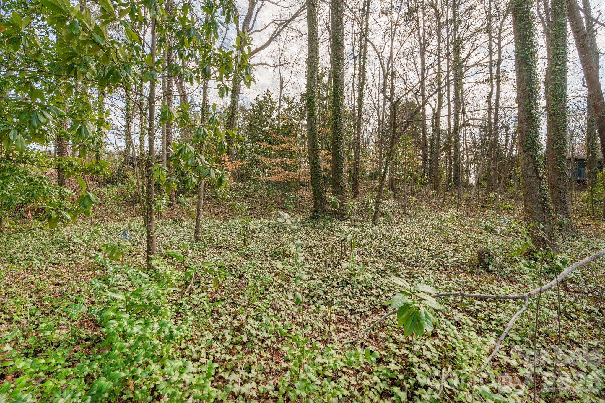 Tbd Oakwood Lane Charlotte NC 28215