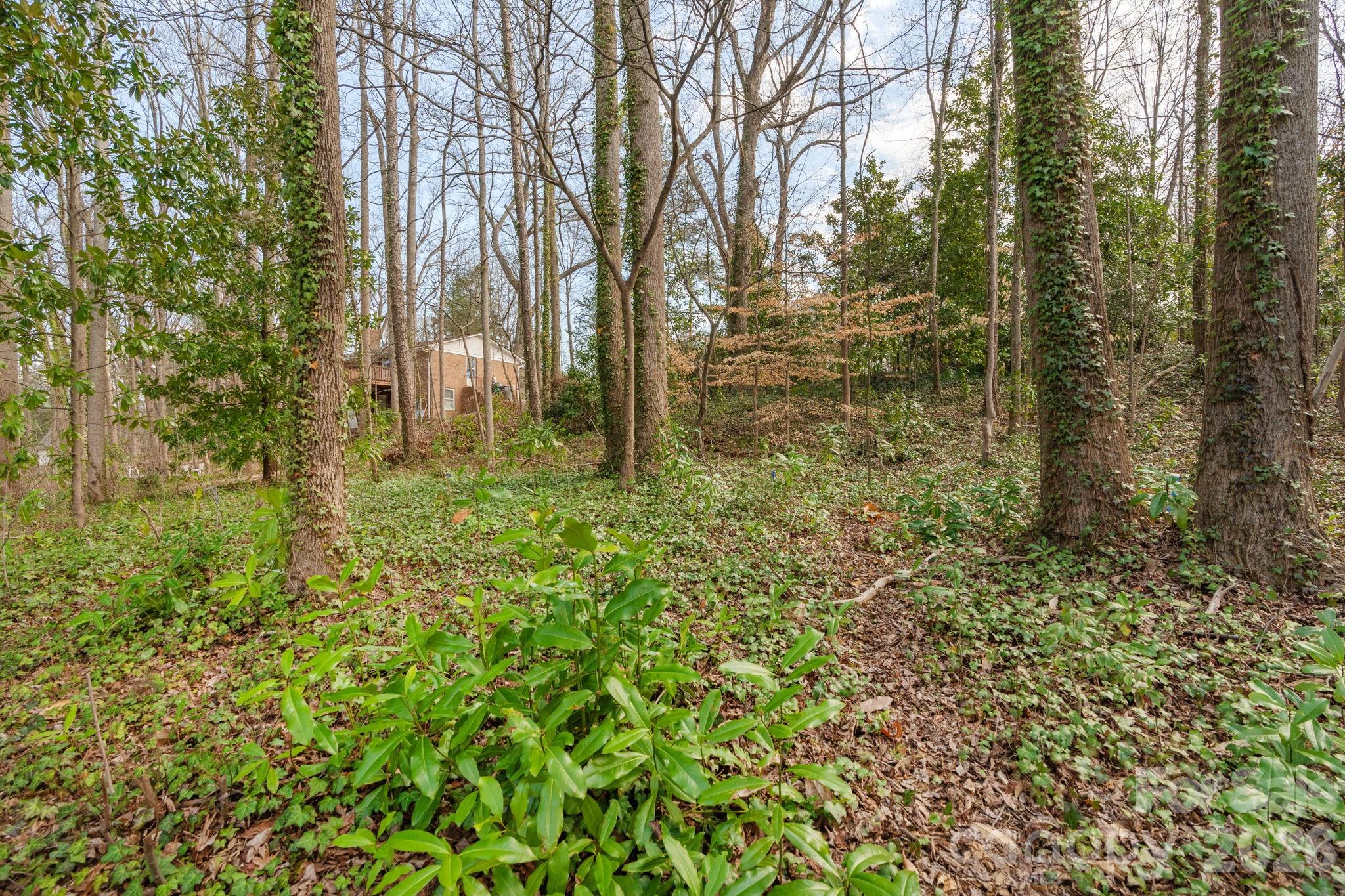 Tbd Oakwood Lane Charlotte NC 28215