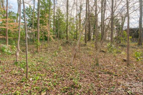 Tbd Oakwood Lane Charlotte NC 28215