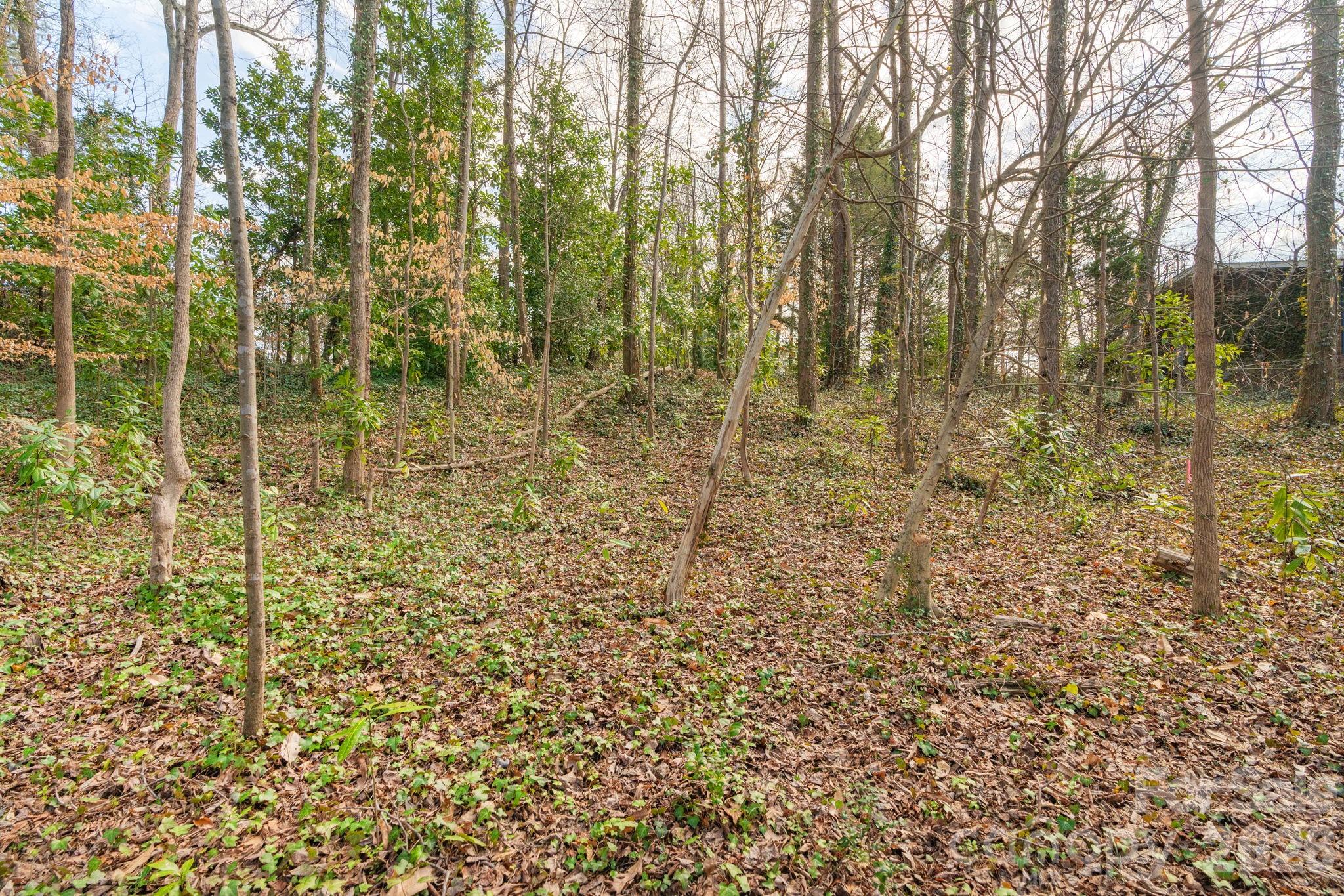 Tbd Oakwood Lane Charlotte NC 28215
