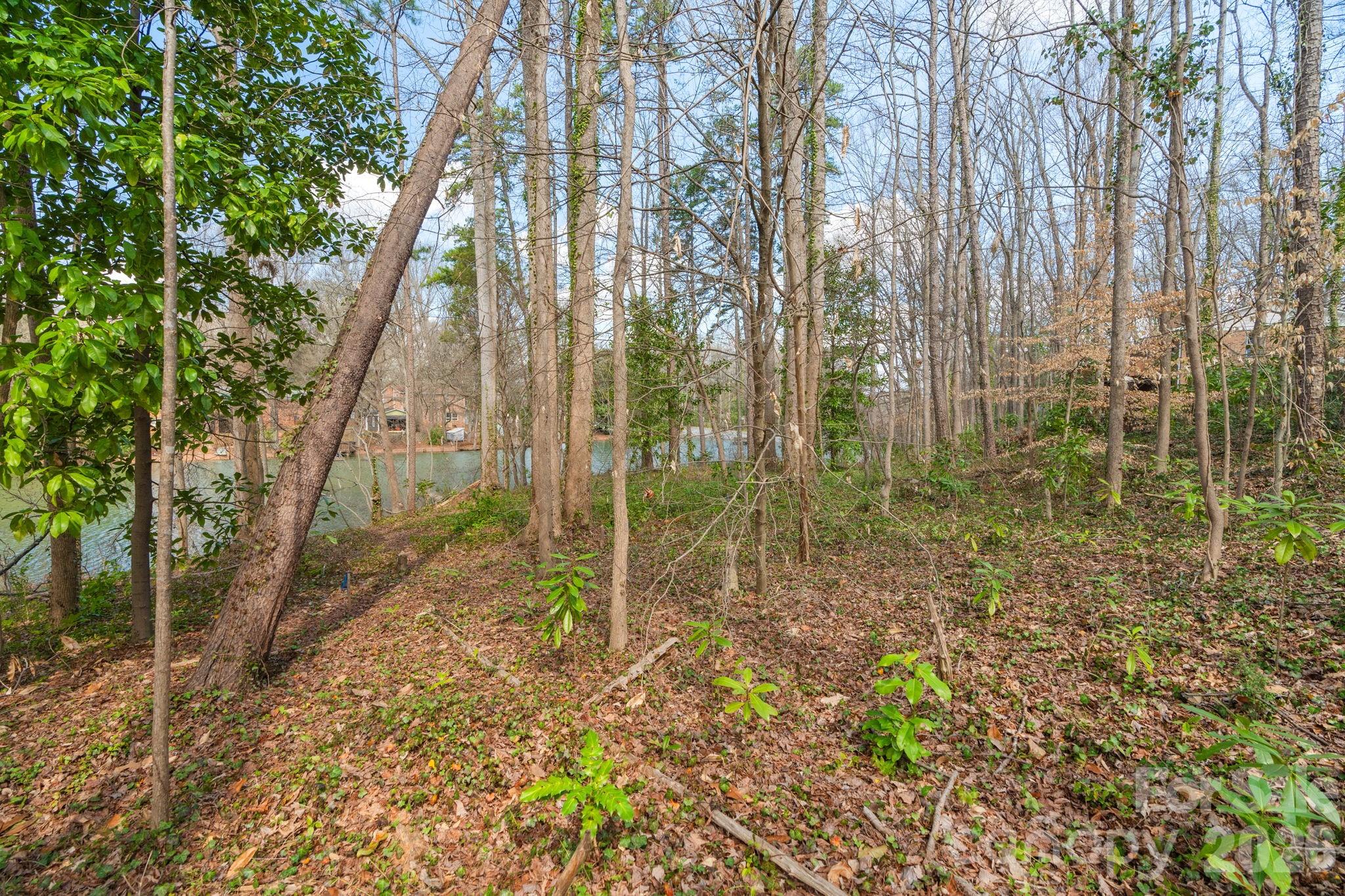 Tbd Oakwood Lane Charlotte NC 28215