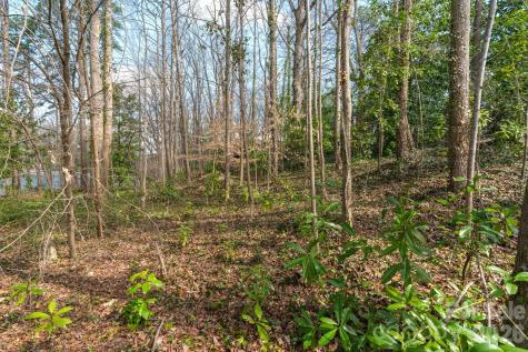 Tbd Oakwood Lane Charlotte NC 28215