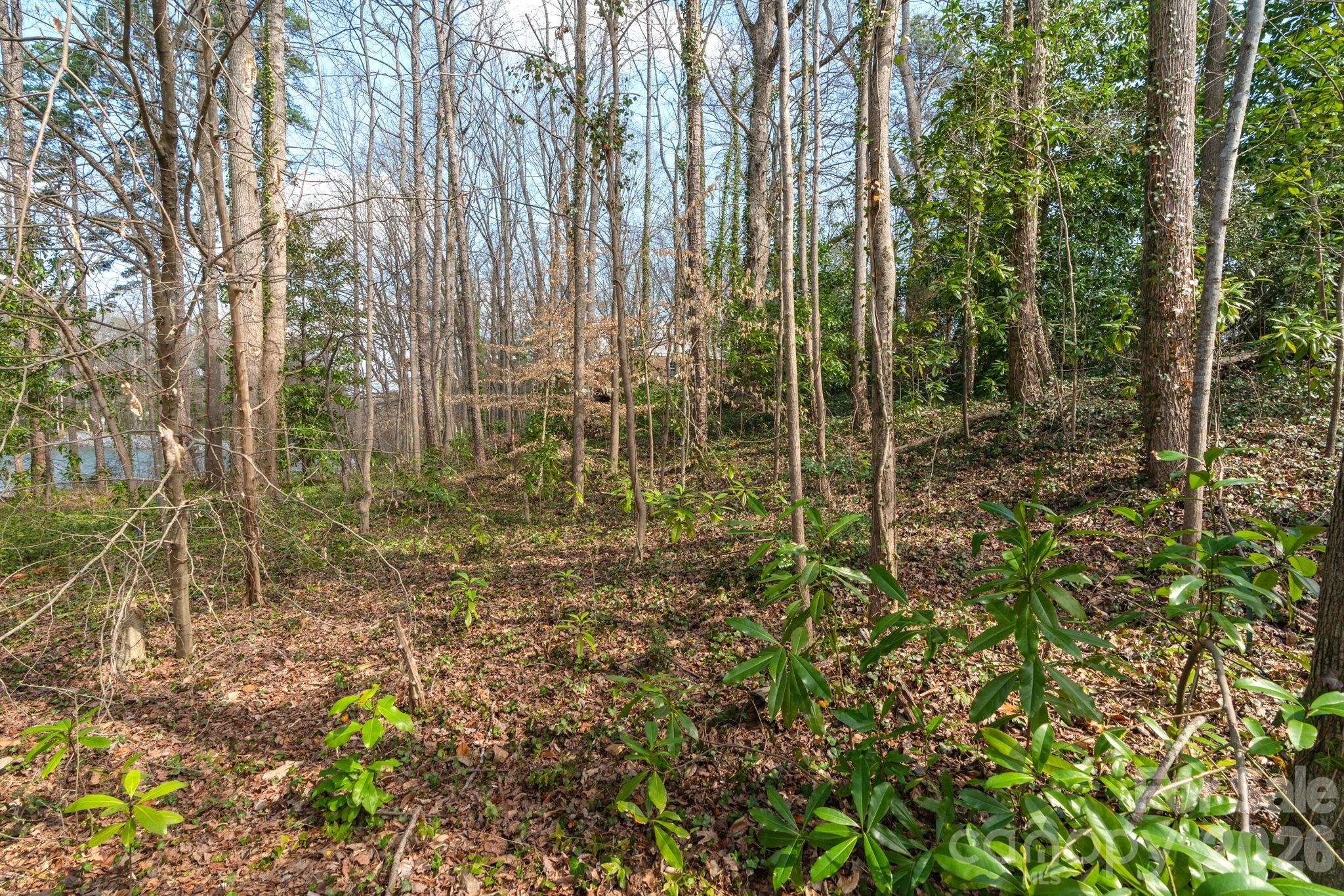 Tbd Oakwood Lane Charlotte NC 28215