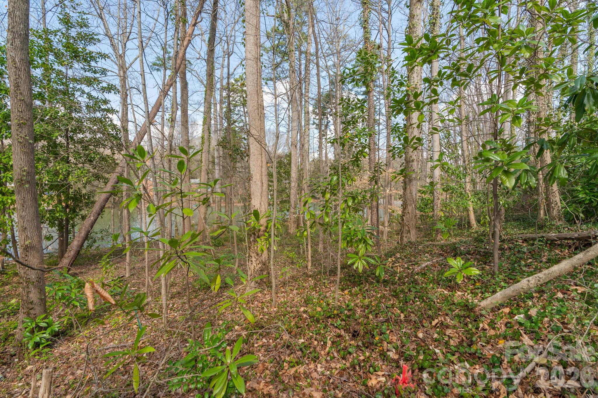 Tbd Oakwood Lane Charlotte NC 28215
