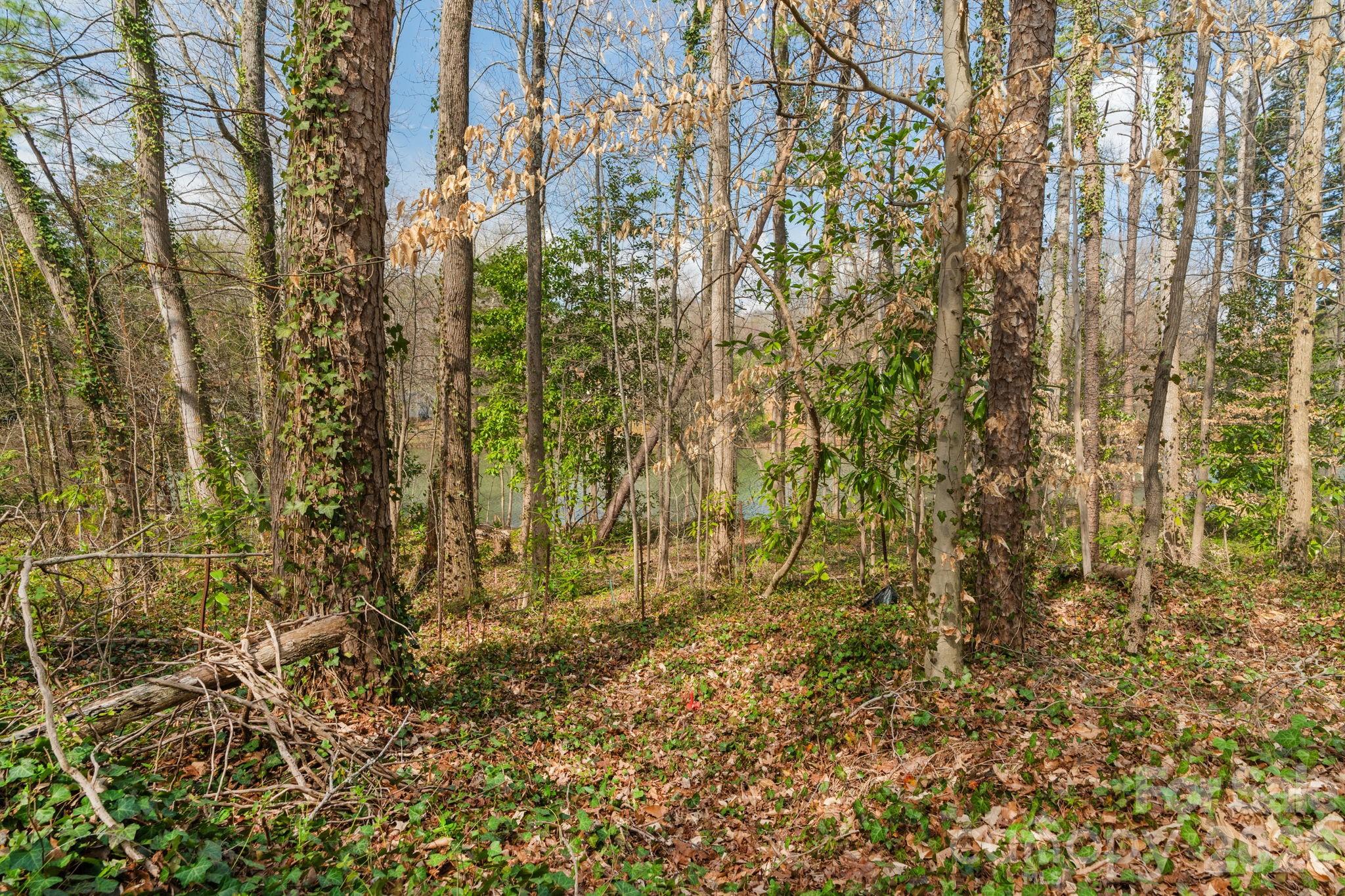 Tbd Oakwood Lane Charlotte NC 28215