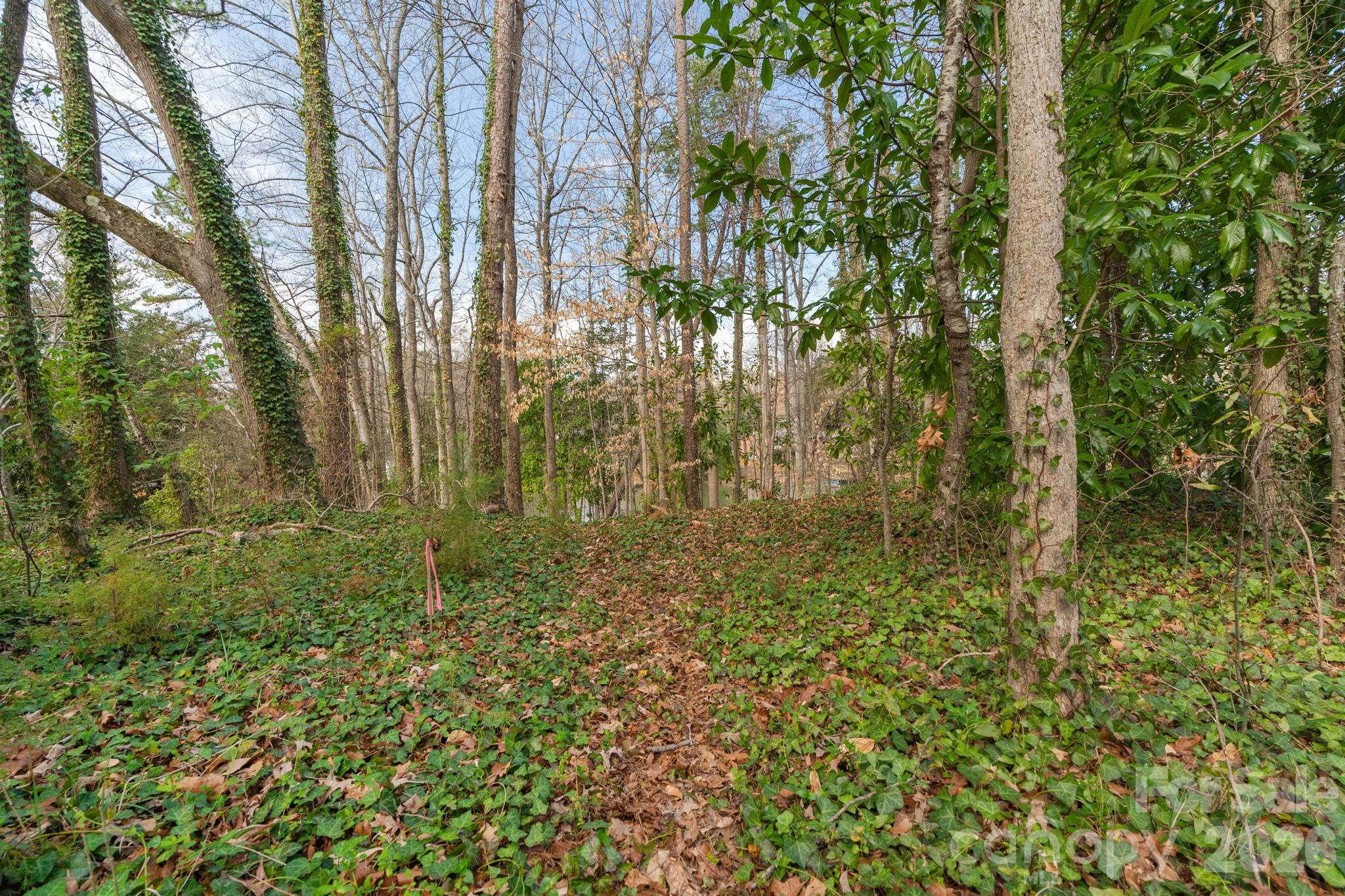 Tbd Oakwood Lane Charlotte NC 28215