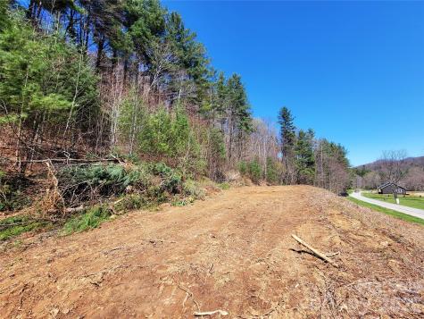 300 Shining Rock Drive Canton NC 28716
