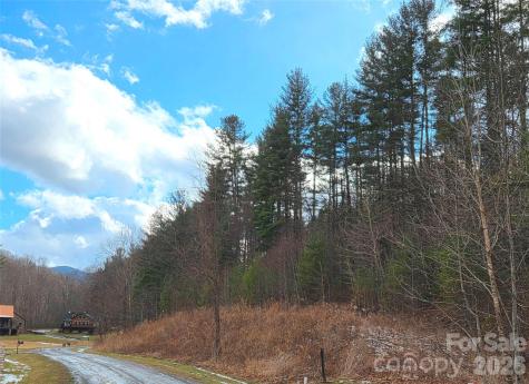300 Shining Rock Drive Canton NC 28716