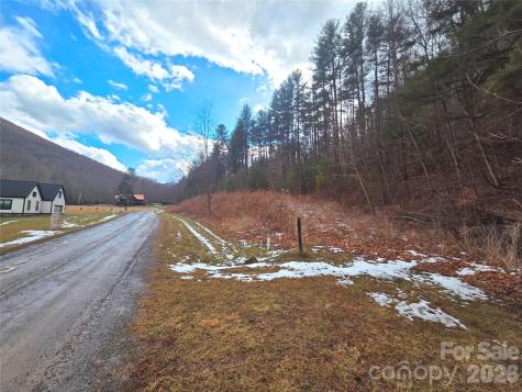 300 Shining Rock Drive Canton NC 28716