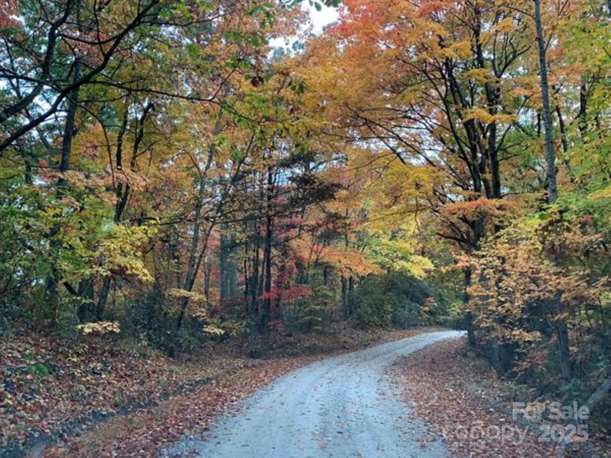 00 Hickory Nut Lane Lake Lure NC 28746