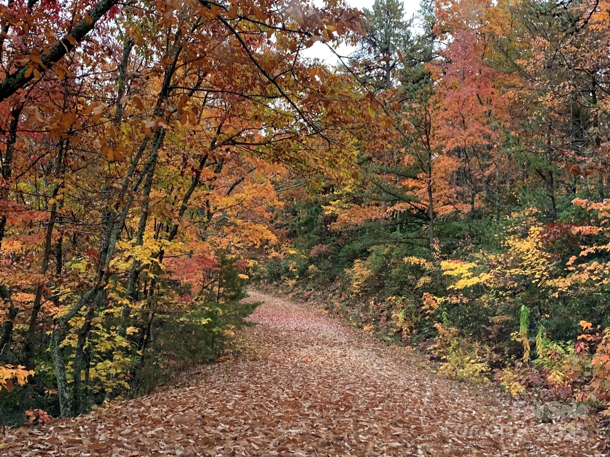 00 Hickory Nut Lane Lake Lure NC 28746