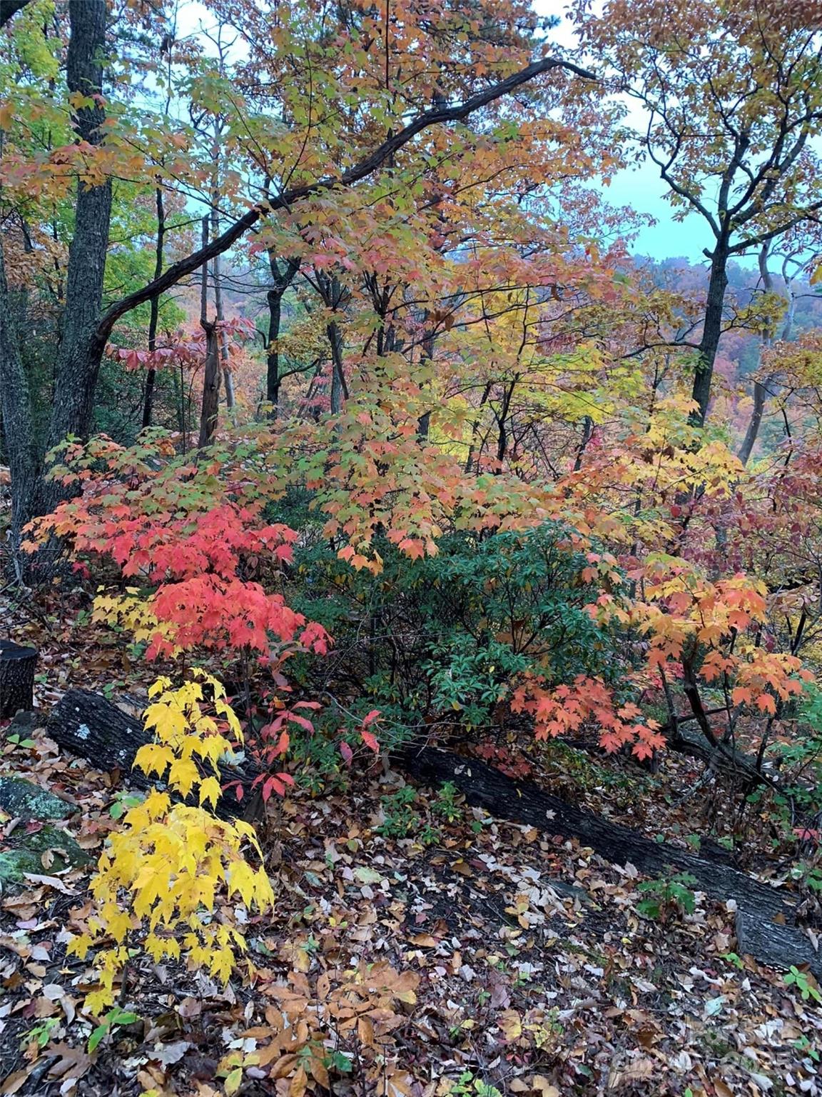 00 Hickory Nut Lane Lake Lure NC 28746
