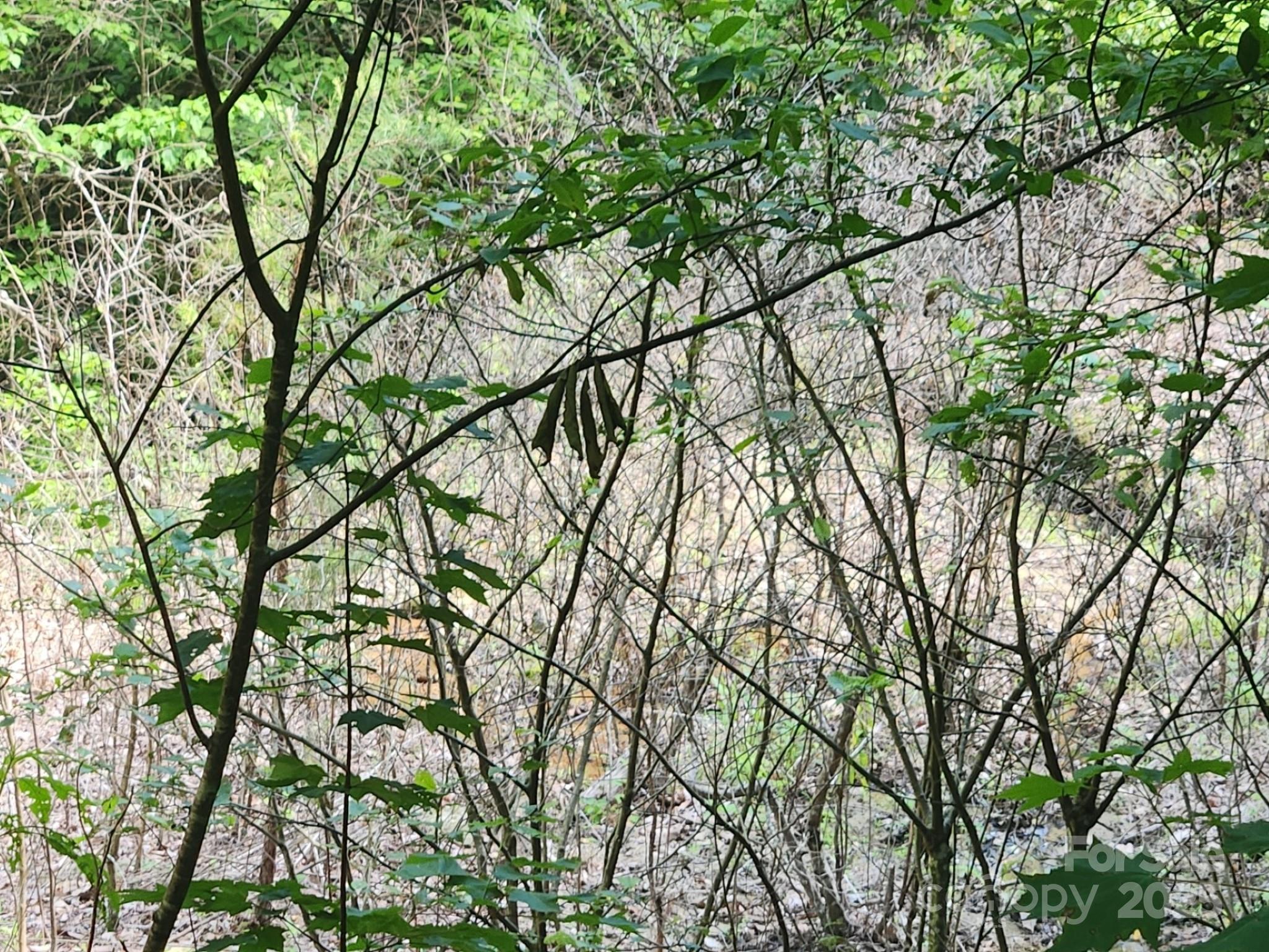 00 Hickory Nut Lane Lake Lure NC 28746