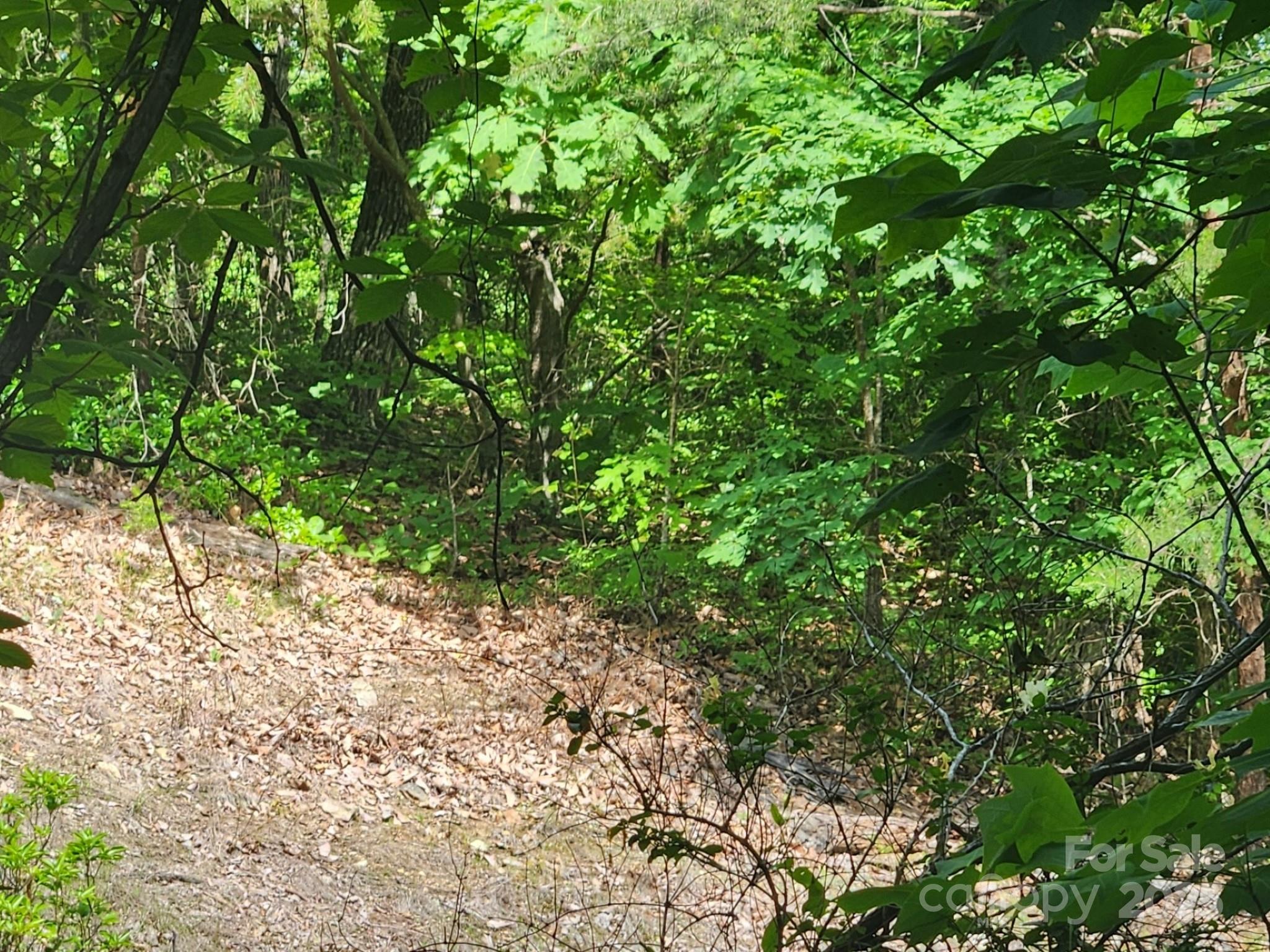 00 Hickory Nut Lane Lake Lure NC 28746