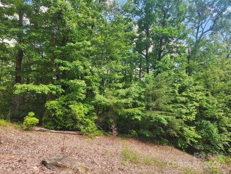 00 Hickory Nut Lane Lake Lure NC 28746