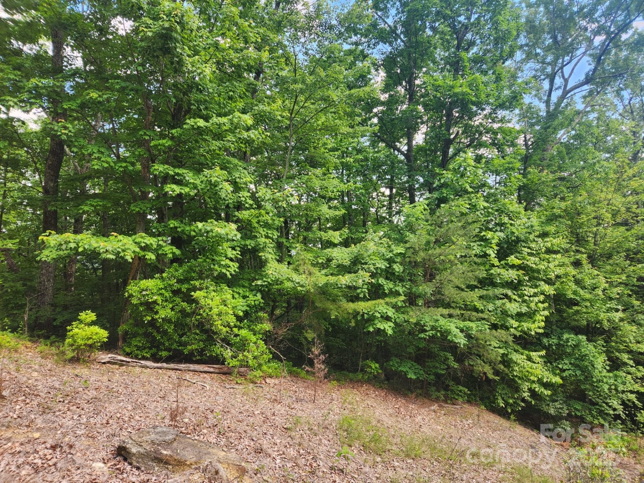 00 Hickory Nut Lane Lake Lure NC 28746