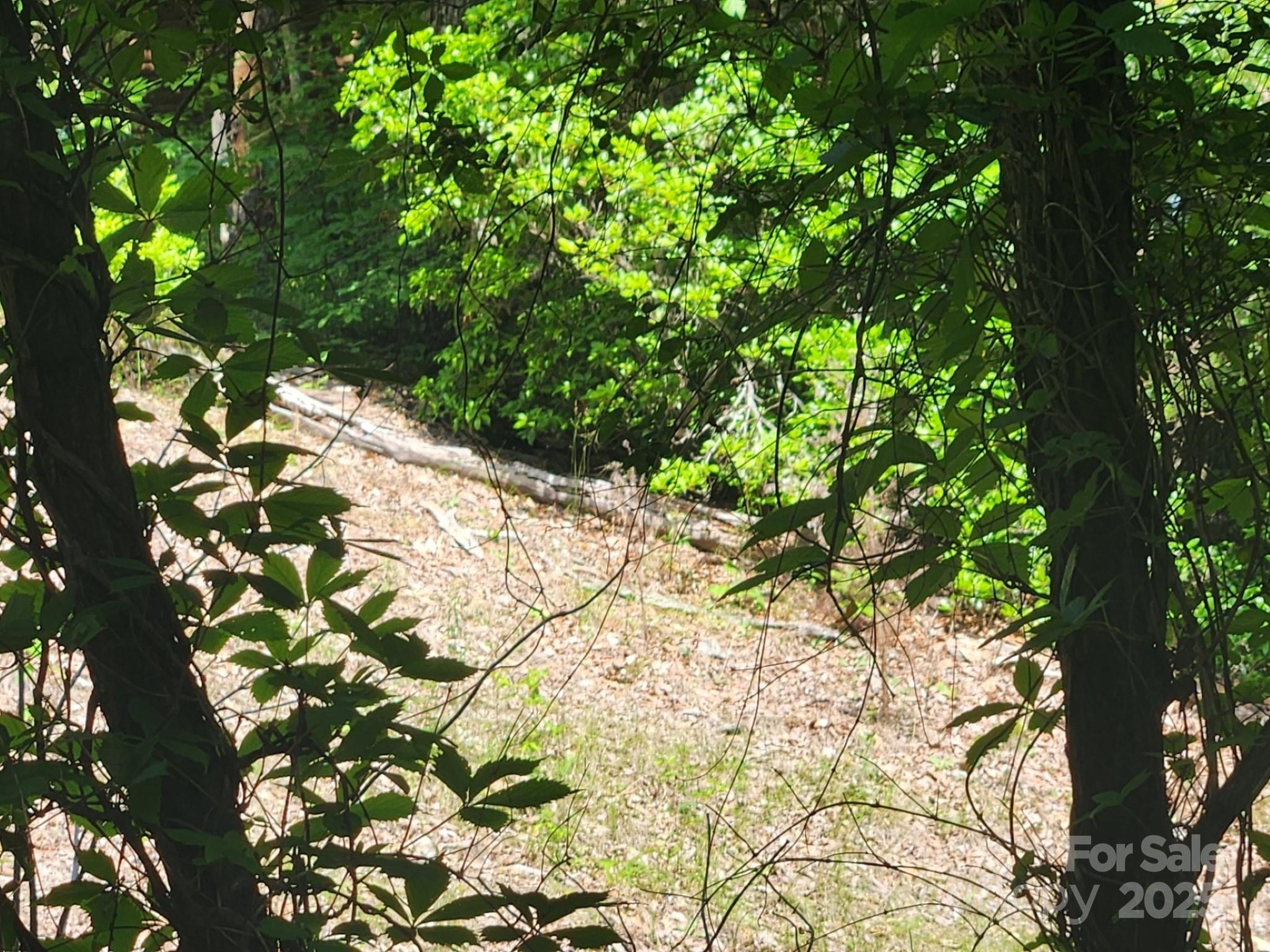 00 Hickory Nut Lane Lake Lure NC 28746