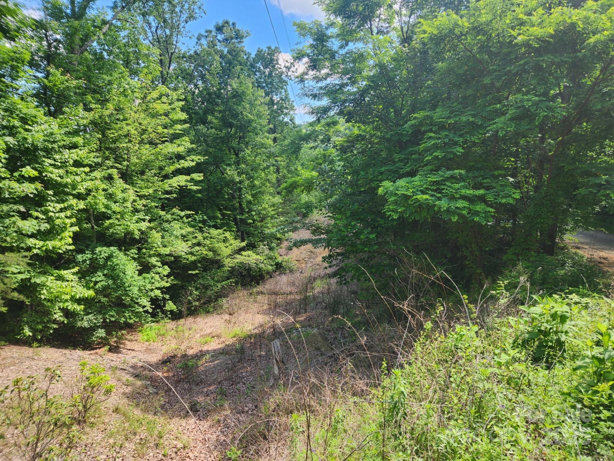 00 Hickory Nut Lane Lake Lure NC 28746