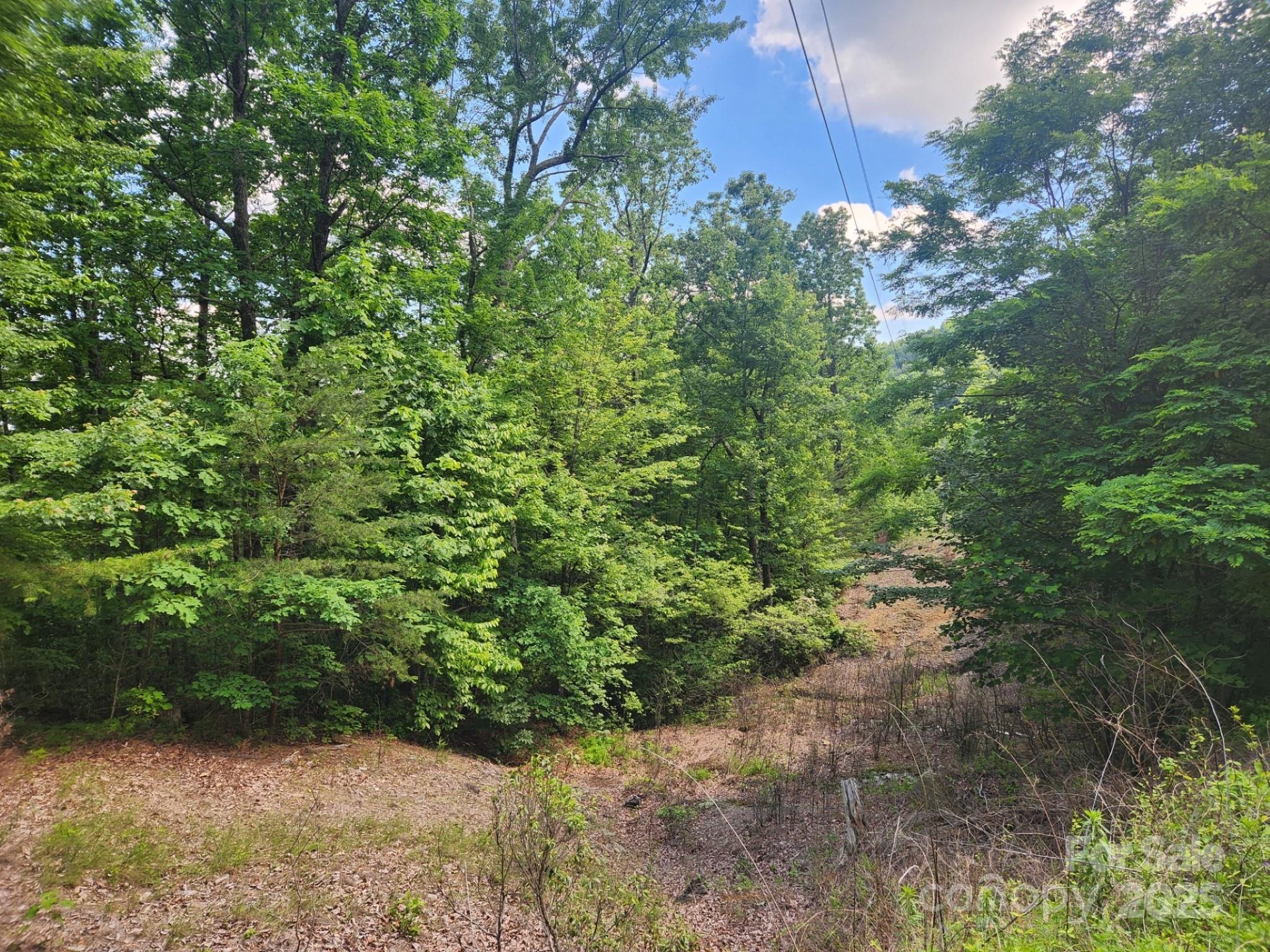 00 Hickory Nut Lane Lake Lure NC 28746