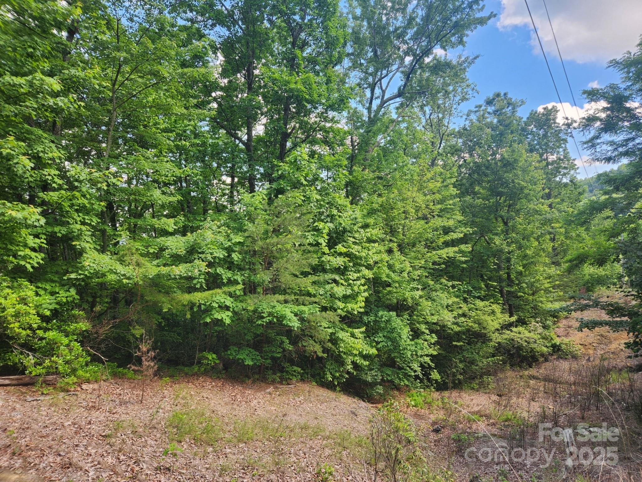 00 Hickory Nut Lane Lake Lure NC 28746