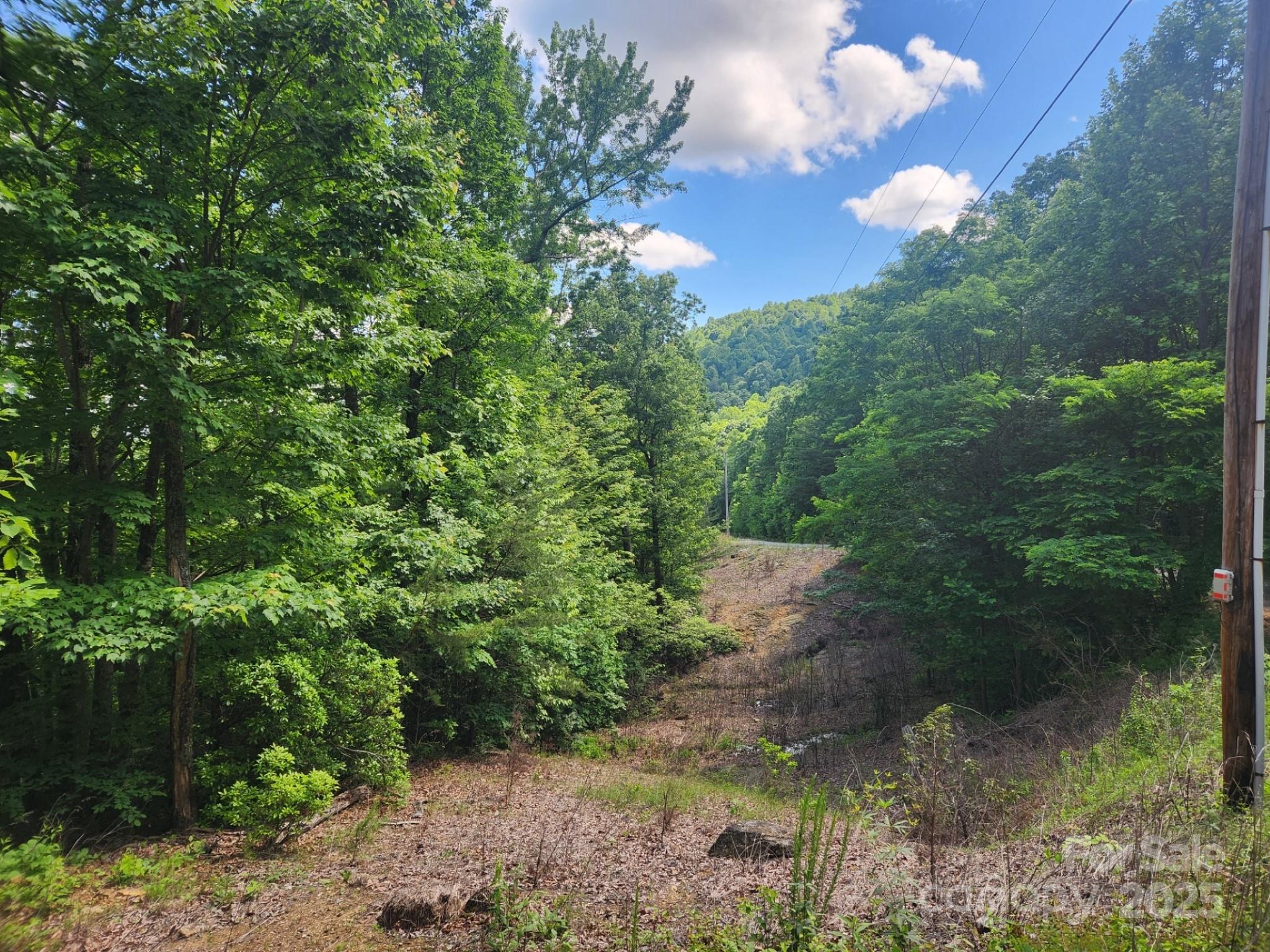 00 Hickory Nut Lane Lake Lure NC 28746