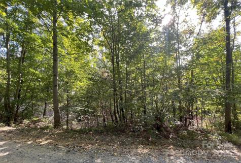 00 Hickory Nut Lane Lake Lure NC 28746