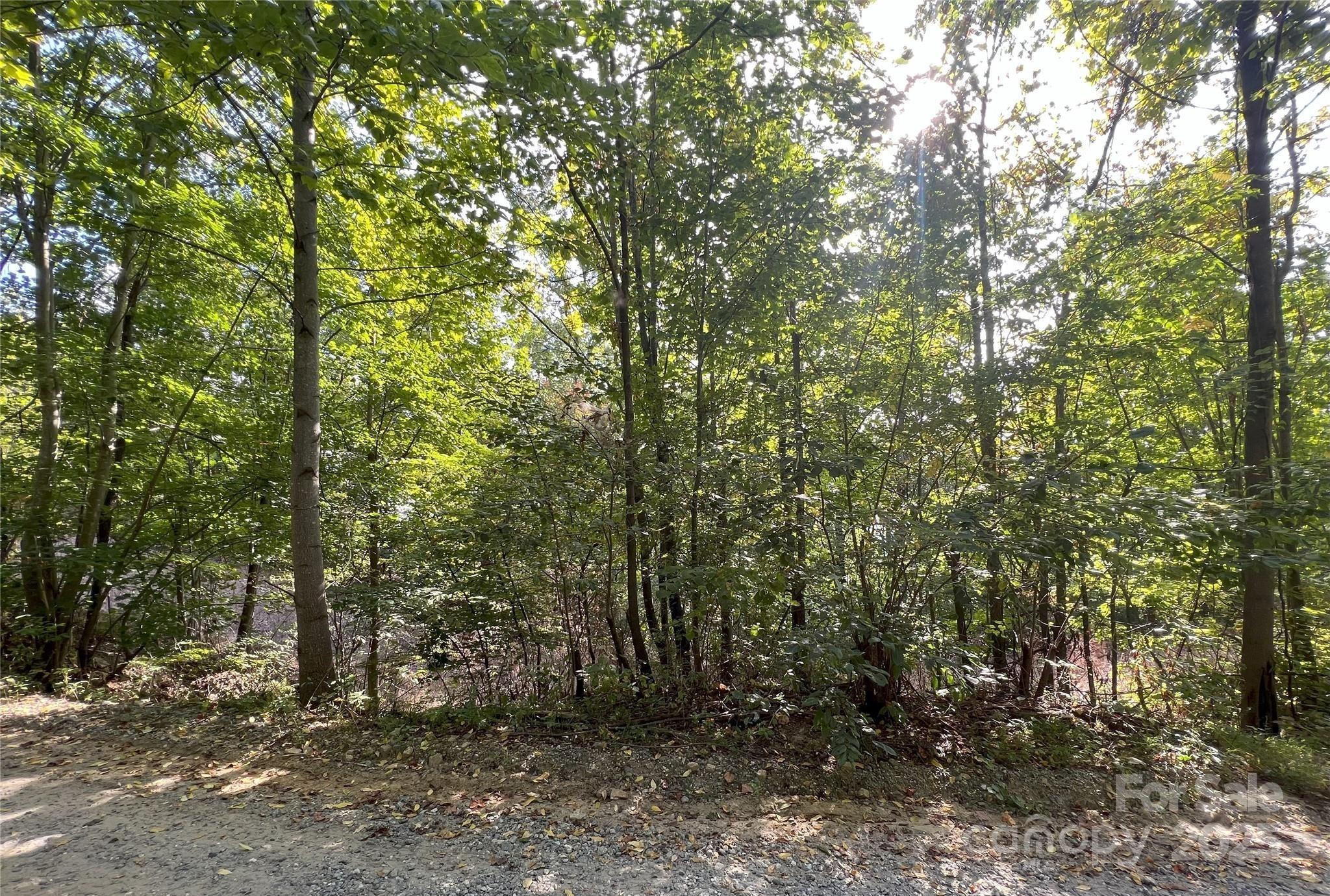 00 Hickory Nut Lane Lake Lure NC 28746