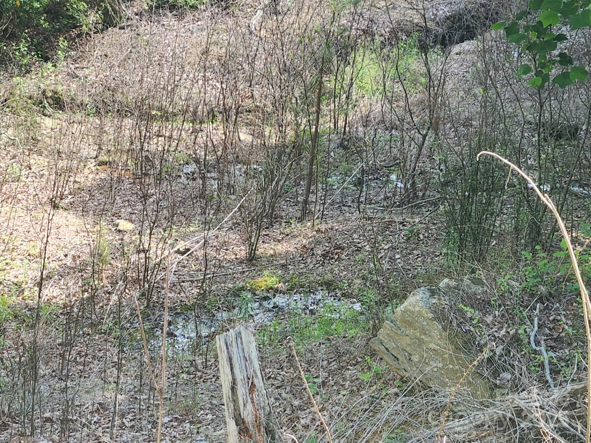 00 Hickory Nut Lane Lake Lure NC 28746