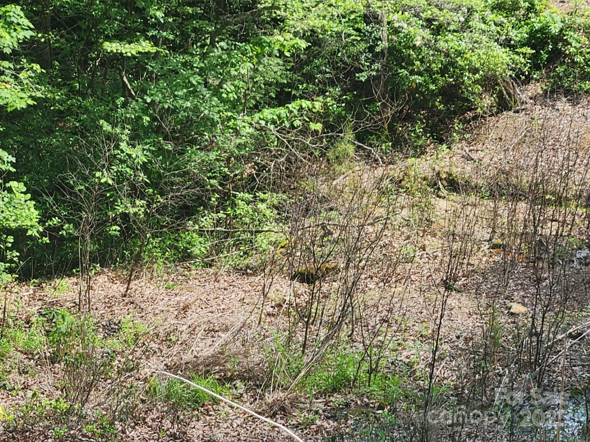 00 Hickory Nut Lane Lake Lure NC 28746