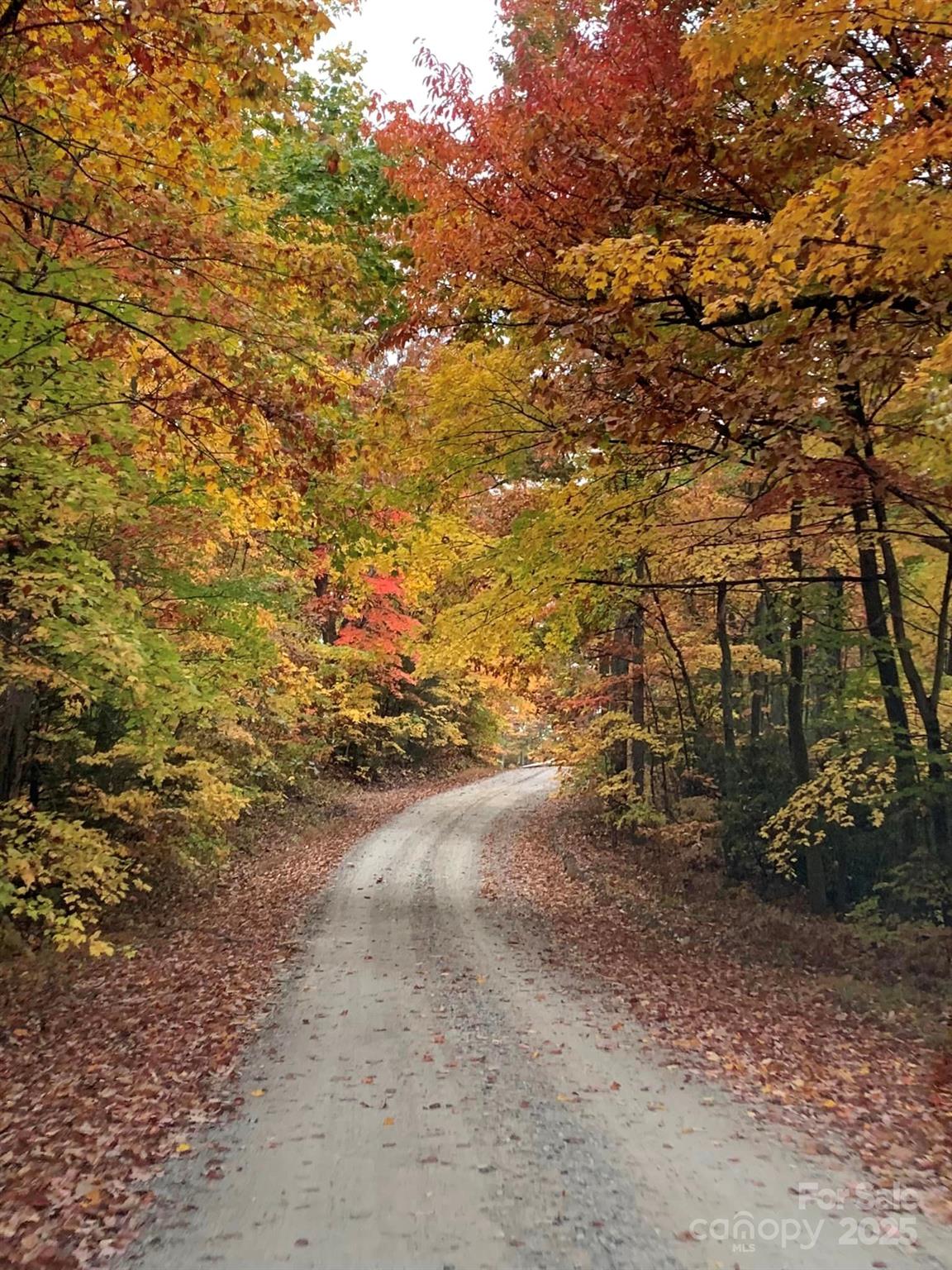 00 Hickory Nut Lane Lake Lure NC 28746