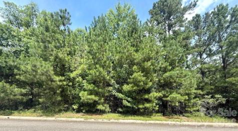 1016 Lyndon Drive Lancaster SC 29720