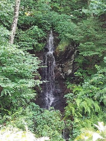 243 Starling Pass Asheville NC 28804