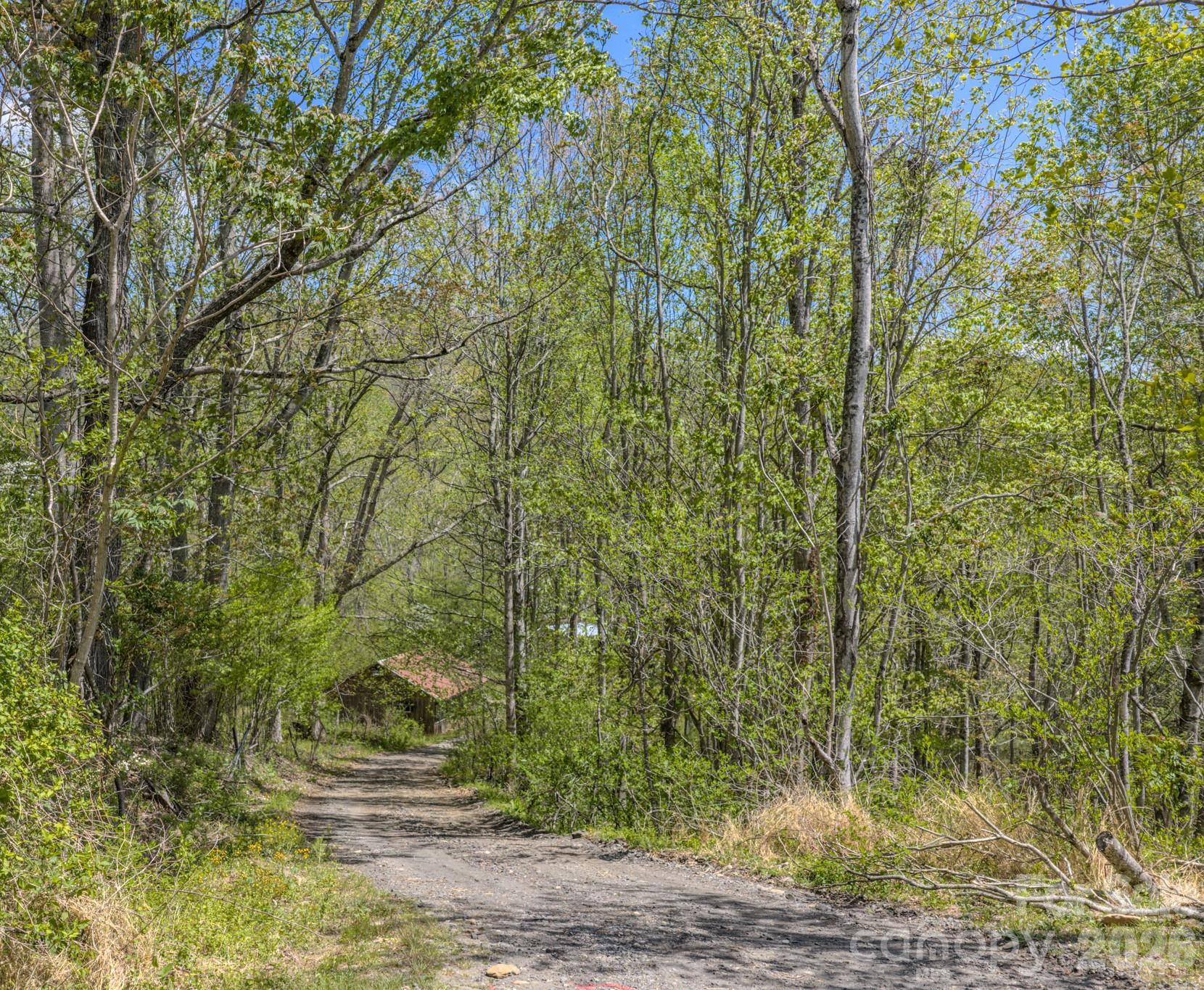 143 Gouge Cemetery Road Bakersville NC 28705