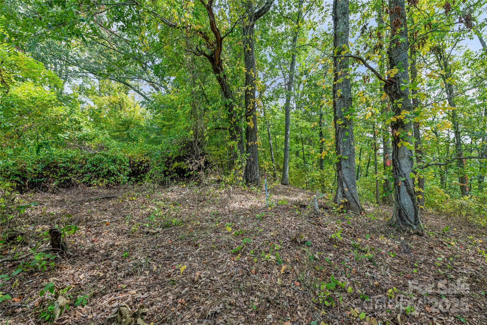 1380 Seven Glens Drive Weaverville NC 28787