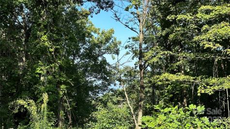 1380 Seven Glens Drive Weaverville NC 28787