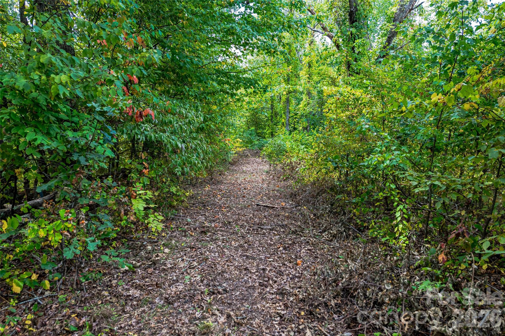 1380 Seven Glens Drive Weaverville NC 28787