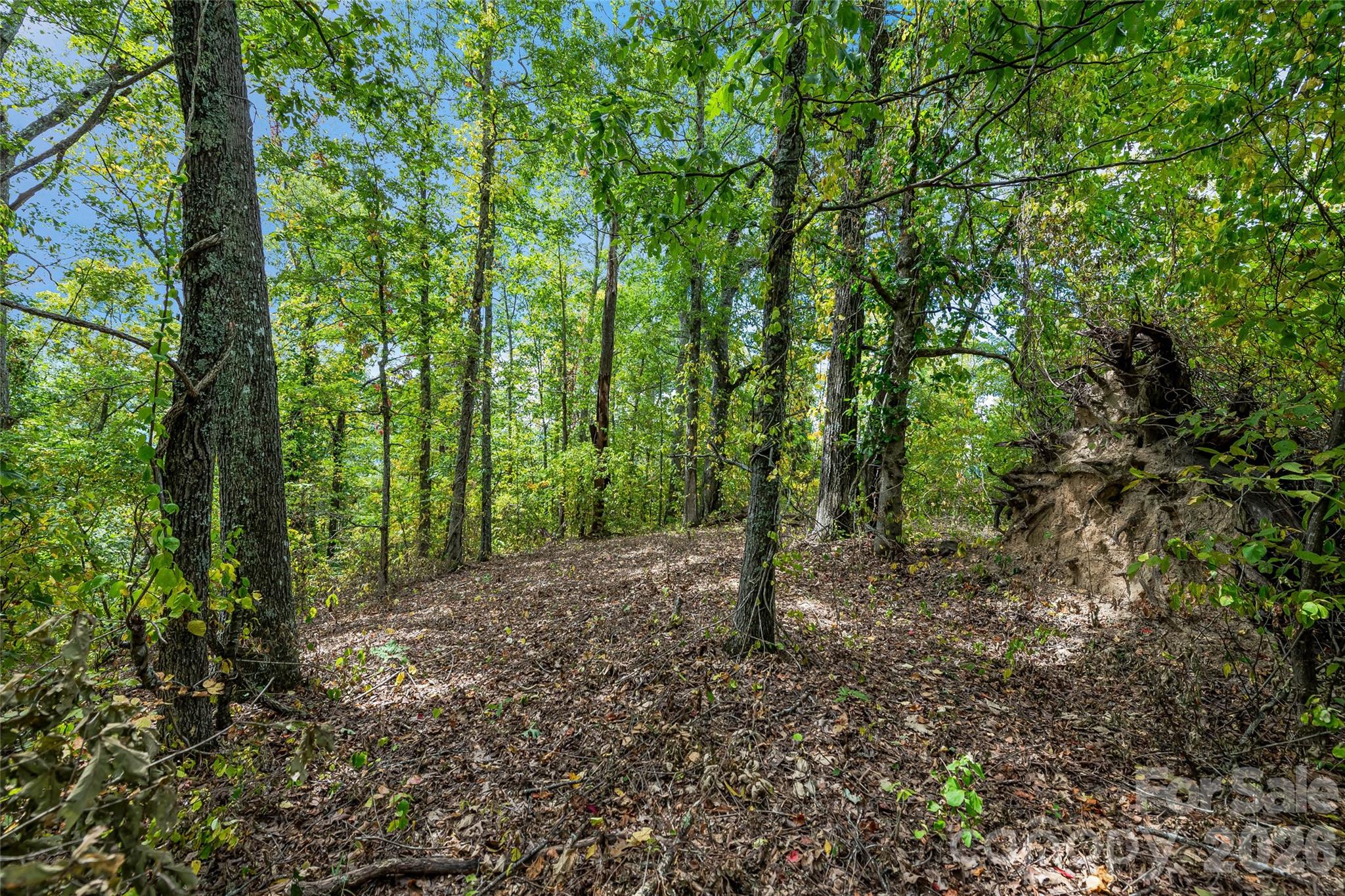 1380 Seven Glens Drive Weaverville NC 28787