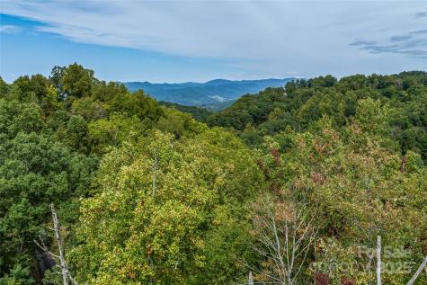 1380 Seven Glens Drive Weaverville NC 28787