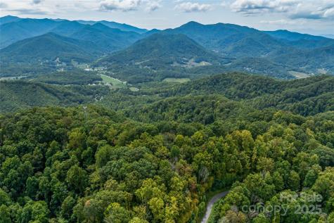 1380 Seven Glens Drive Weaverville NC 28787