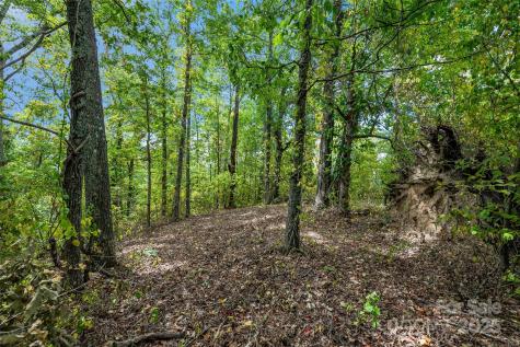 1380 Seven Glens Drive Weaverville NC 28787