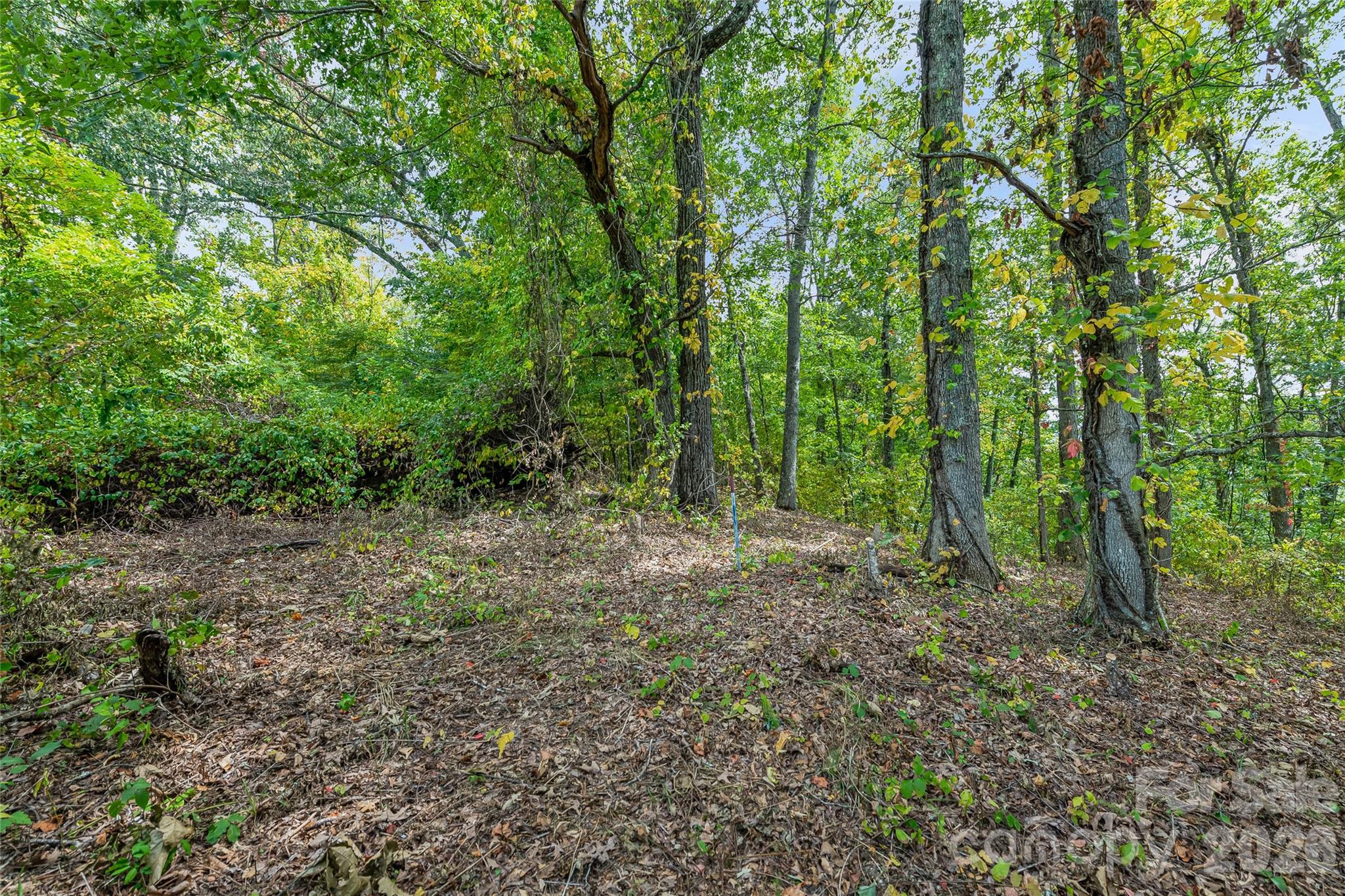 1380 Seven Glens Drive Weaverville NC 28787