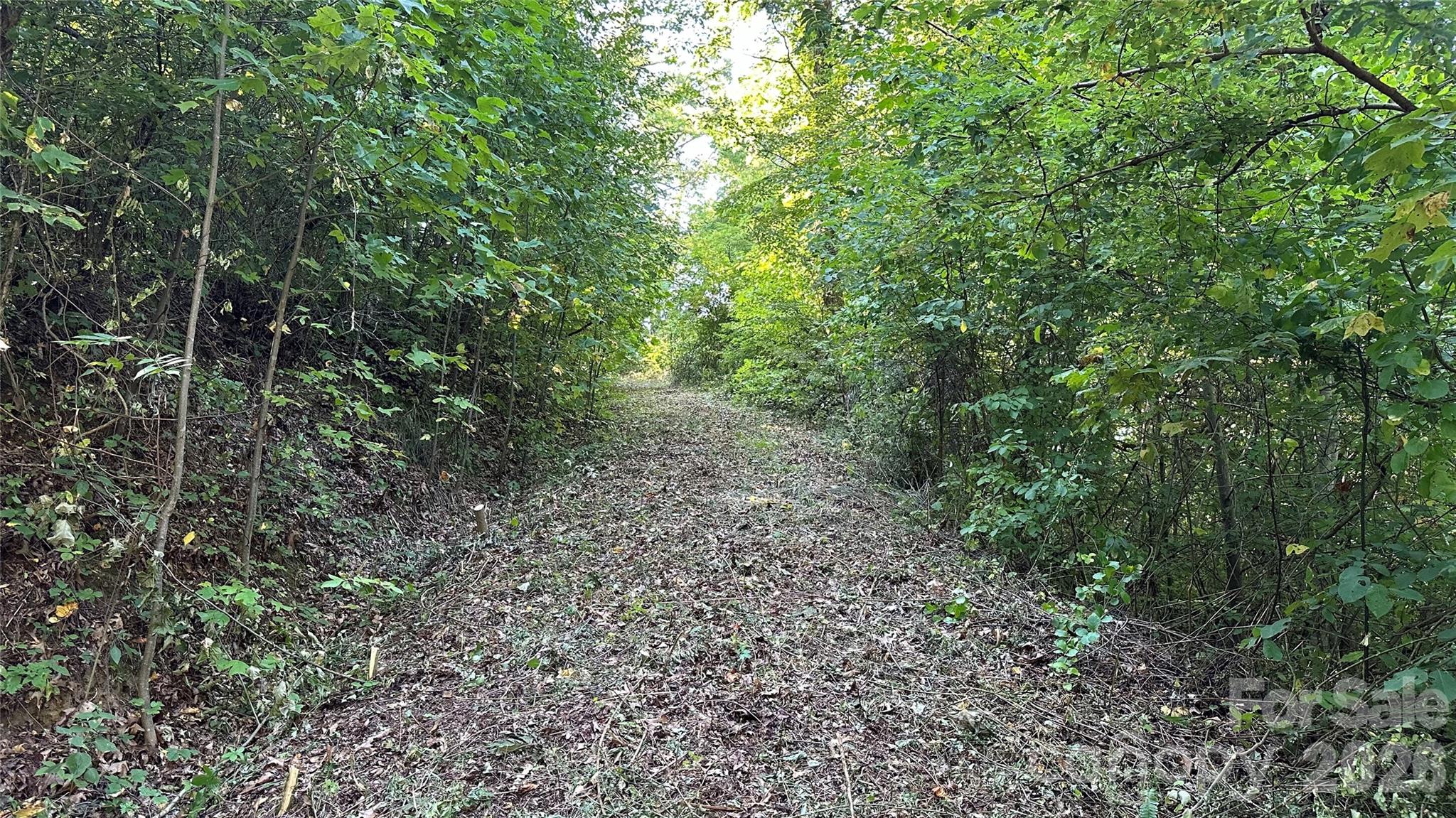1380 Seven Glens Drive Weaverville NC 28787