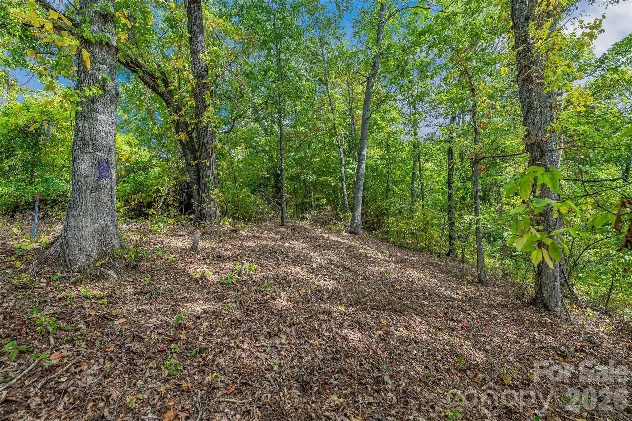 1380 Seven Glens Drive Weaverville NC 28787