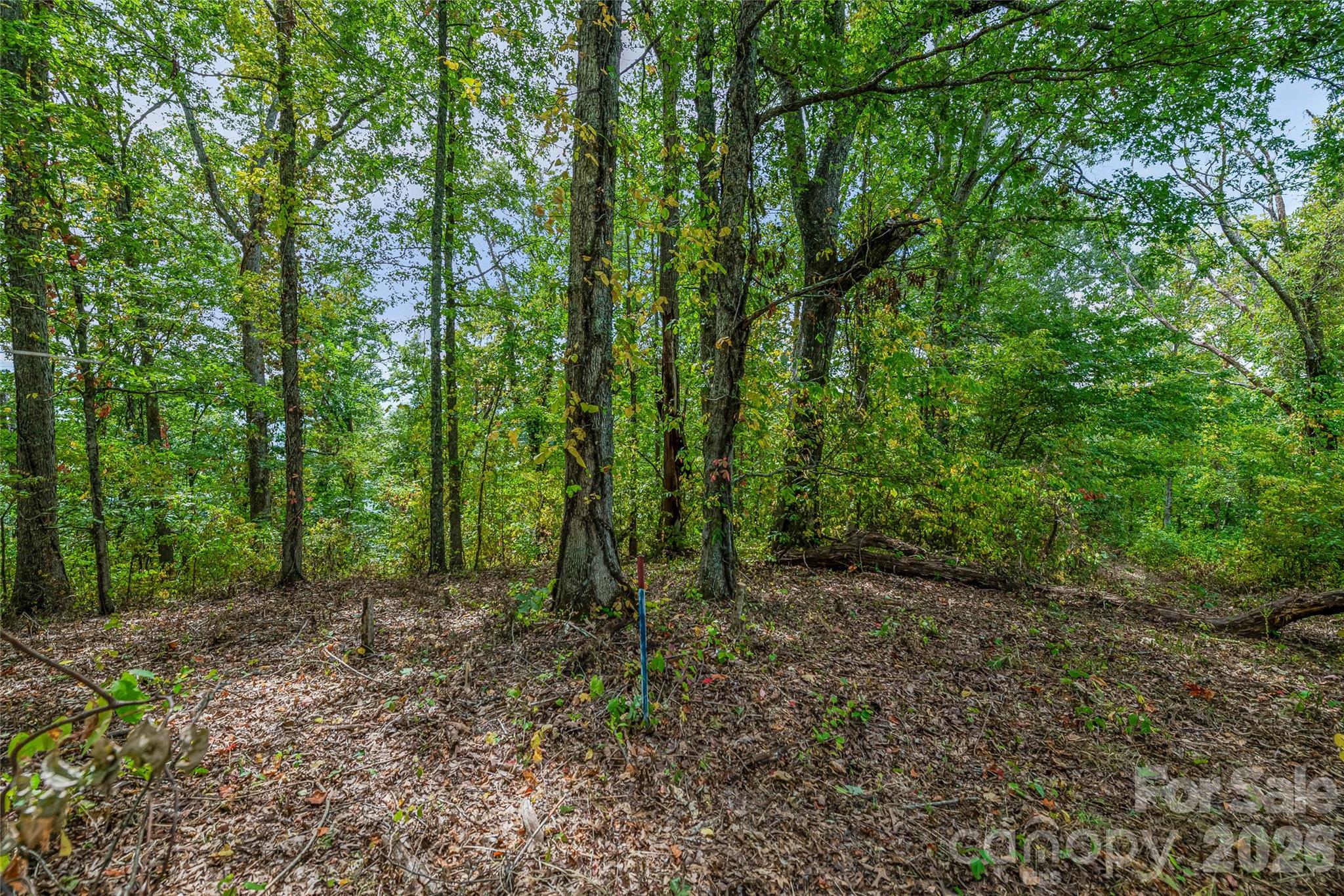 1380 Seven Glens Drive Weaverville NC 28787