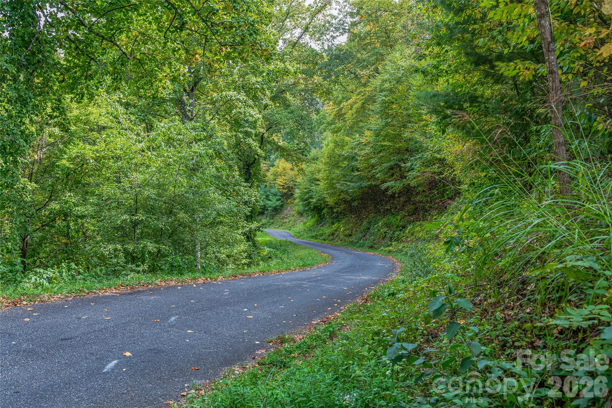 1380 Seven Glens Drive Weaverville NC 28787