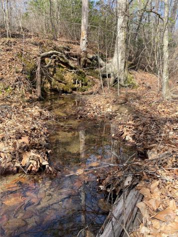 0 Cane Creek Mountain Road Bostic NC 28018